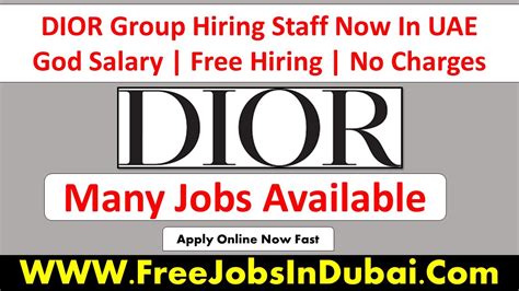 dior vacancies|christian dior job opportunities.